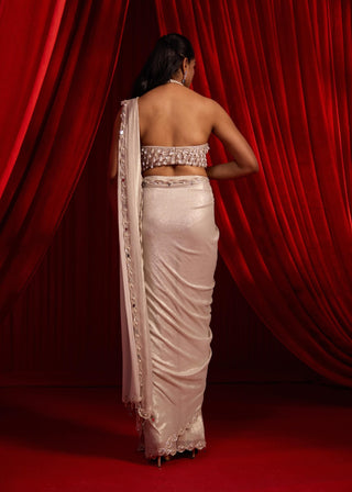 Gray shwet sanyoga sari and blouse
