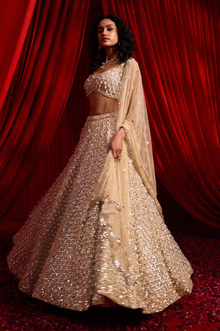 Golden survana anvaya lehenga set