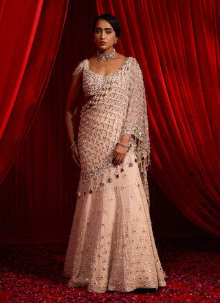 Salmon pink varni anvaya lehenga and blouse