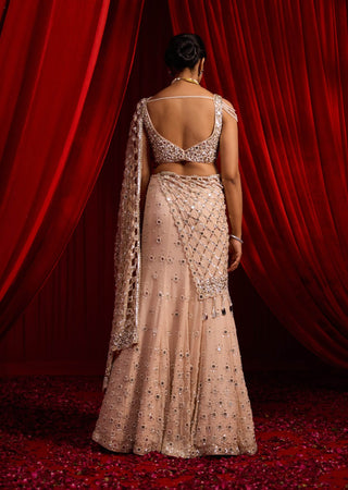 Salmon pink varni anvaya lehenga and blouse