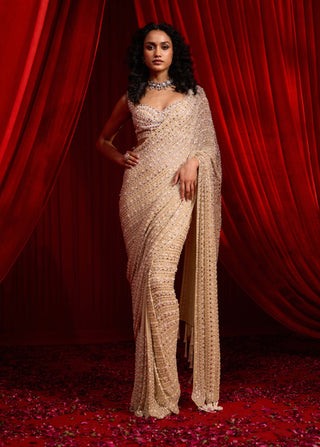 Bright golden anvaya nakashi sari and blouse