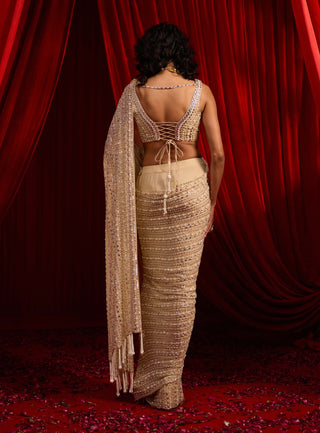 Bright golden anvaya nakashi sari and blouse