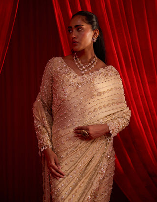 Golden sunheri anvaya sari and blouse