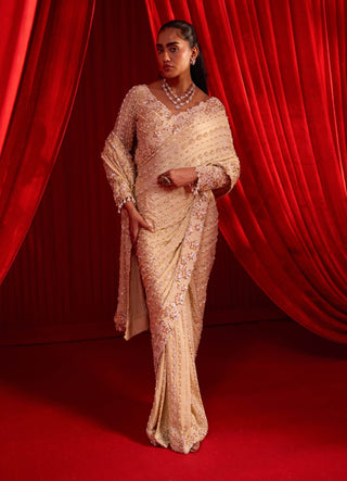 Golden sunheri anvaya sari and blouse