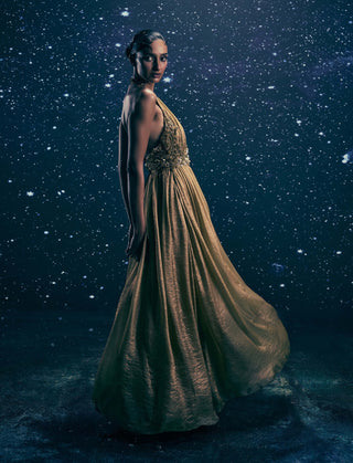 Solar gold halter neck embroidered gown