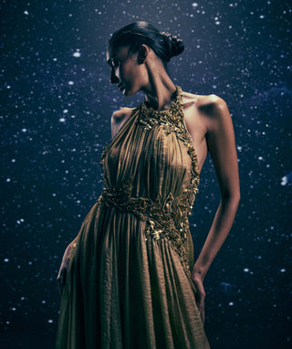 Solar gold halter neck embroidered gown