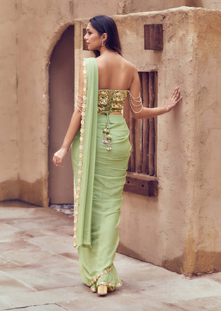 Pista green harit meher corset sari