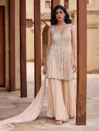 Baby pink mrinalini sharara set