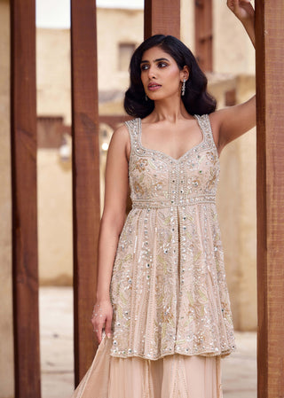 Baby pink mrinalini sharara set