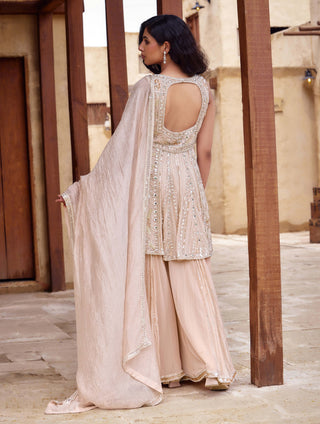 Baby pink mrinalini sharara set
