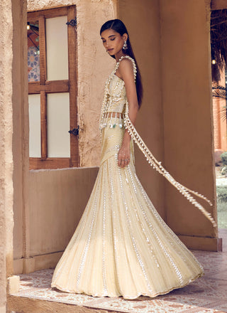 Golden muktika pearl drape mermaid lehenga sari