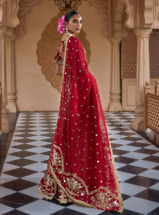 Red padmashree lehenga set