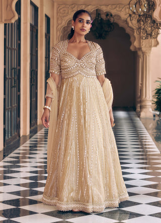Golden noor kamalutsav anarkali
