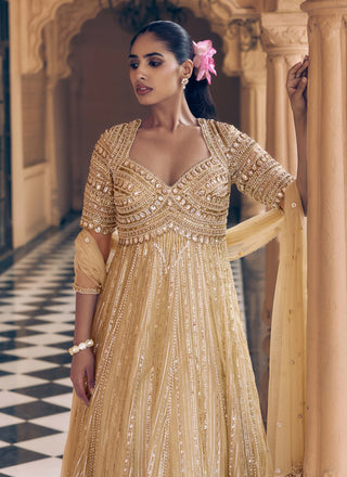 Golden noor kamalutsav anarkali
