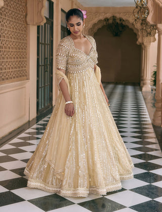 Golden noor kamalutsav anarkali