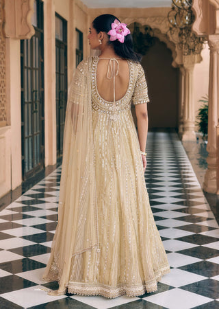Golden noor kamalutsav anarkali