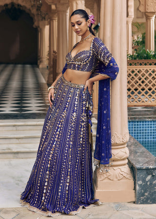 Purple mayurika lehenga set