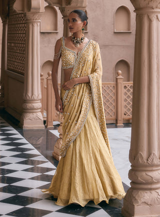 Golden suvarna meher sari lehenga set