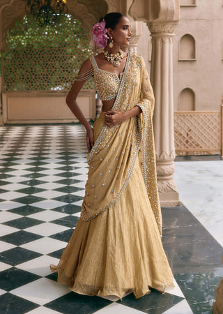 Golden suvarna meher sari lehenga set