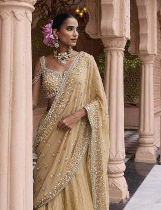 Golden suvarna meher sari lehenga set