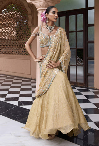 Golden suvarna meher sari lehenga set