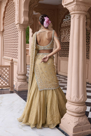 Golden suvarna meher sari lehenga set
