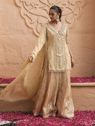 Golden kanchan meher sharara set