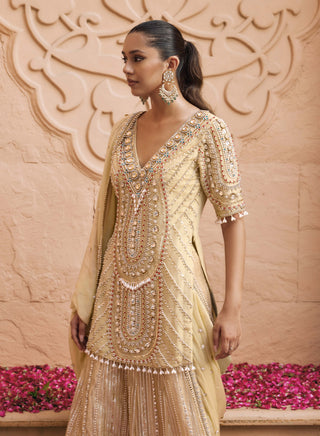 Golden kanchan meher sharara set