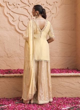 Golden kanchan meher sharara set