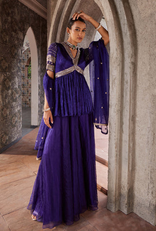 Nidhika Shekhar-Purple Embroidered Sharara Set-INDIASPOPUP.COM