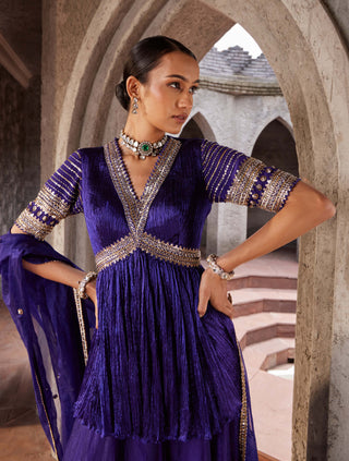 Nidhika Shekhar-Purple Embroidered Sharara Set-INDIASPOPUP.COM