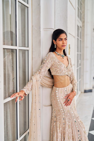 Harsh o ullas pink lehenga set
