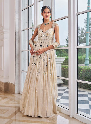 Ullas champagne anarkali with dupatta