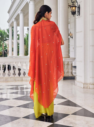 Ullasat draped skirt and cape set