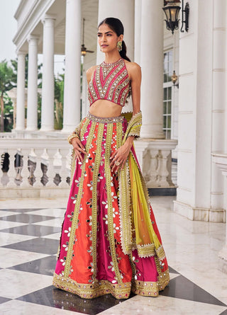 Prakash e ullas multicolor lehenga set