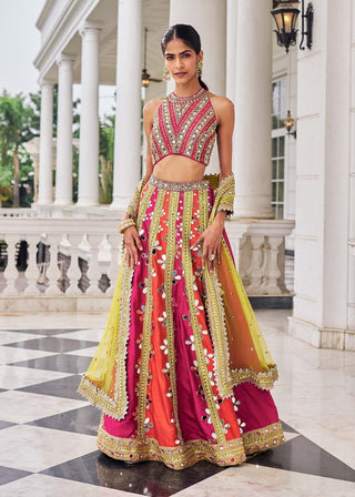 Prakash e ullas multicolor lehenga set