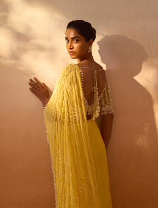 Yellow georgette sari and blouse