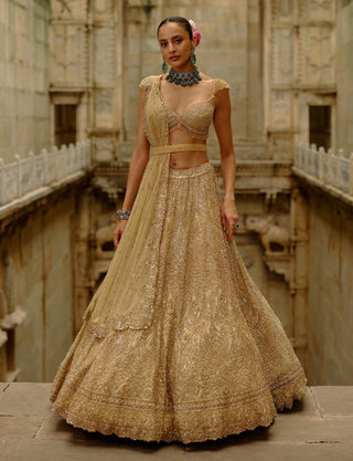 Gold net crystals lehenga set