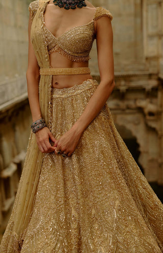 Gold net crystals lehenga set