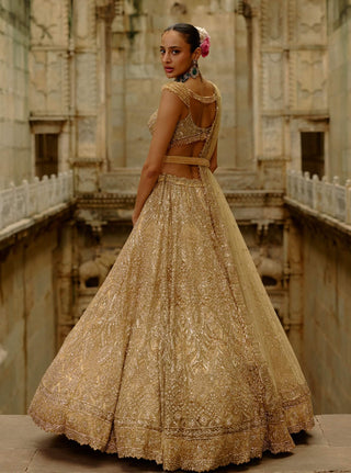 Gold net crystals lehenga set
