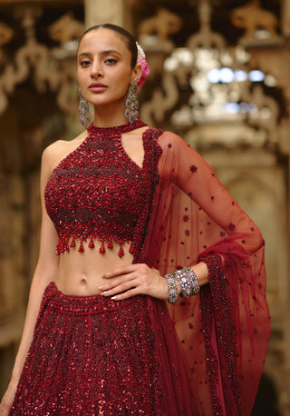Burgundy lehenga choli dupatta set