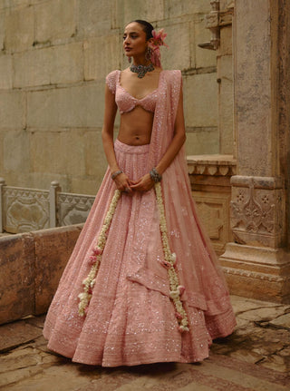 Pink net shimmering lehenga set