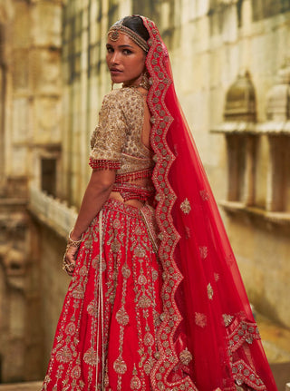 Red raw silk lehenga and gold choli set