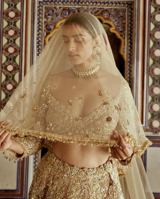 Champagne gold net lehenga choli set