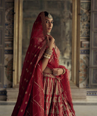 Deep red raw silk lehenga set