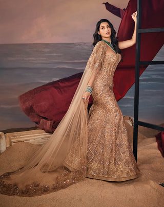 Ashi gold mermaid lehenga set