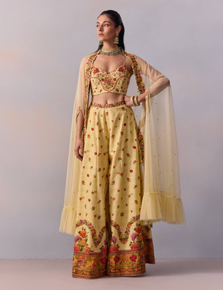 Meher yellow sharara and cape set