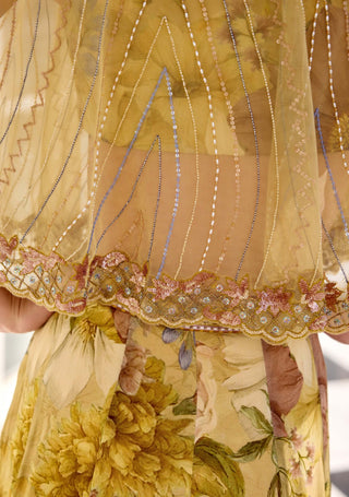 Amaira beige cape and sharara set