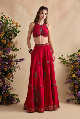 Aneeka crimson pink sharara set