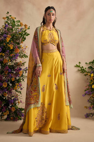 Aneeka amber sharara set